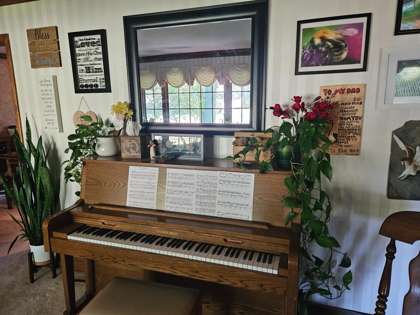 Livingroom plant decor low maintenance